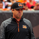 Illustration for article titled Reports: Jay Gruden Will Be New Redskins Head Coach